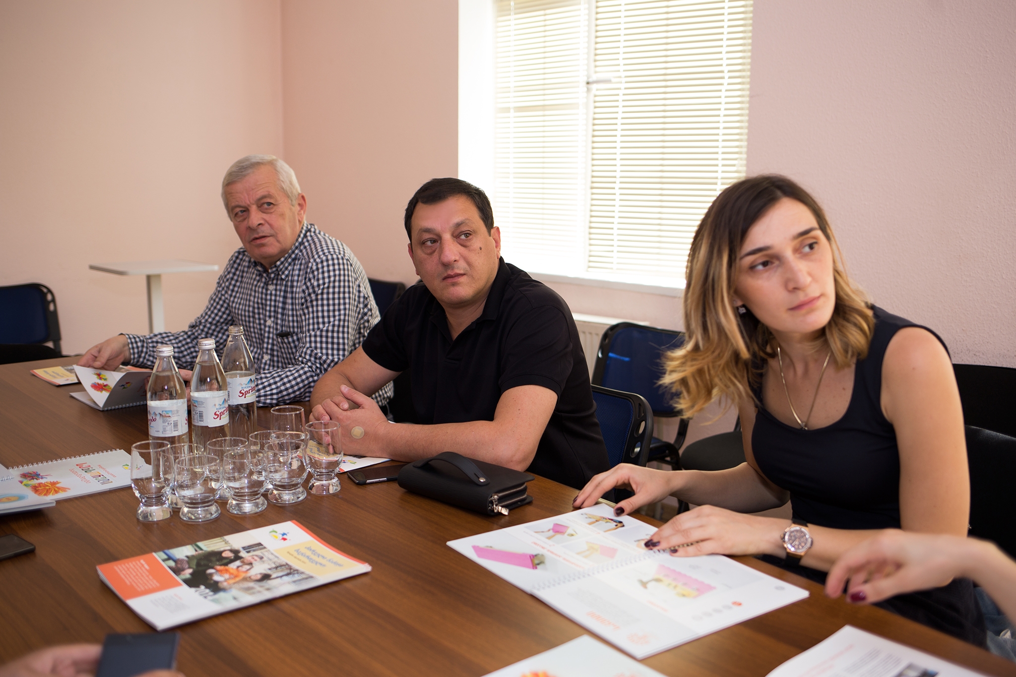 პრემიერ-მინისტრი ევროკავშირის წევრი ქვეყნების ელჩების შეხვდა