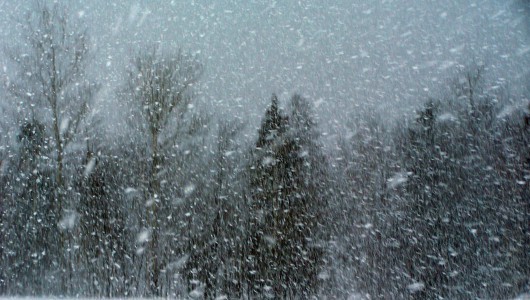 14-15 ოქტომბერს სინოპიკოსები თოვლჭყაპს პროგნოზირებენ