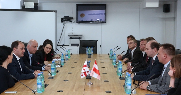 დავით ნარმანია საქართველოში ავსტრიის ელჩს შეხვდა