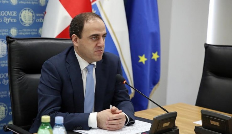 თბილისის მერი საკრებულოში მივა
