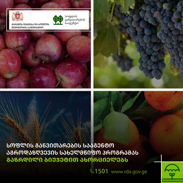 სოფლის განვითარების სააგენტო აგროდაზღვევის სახელმწიფო პროგრამას გაზრდილი ბიუჯეტით ახორციელებს