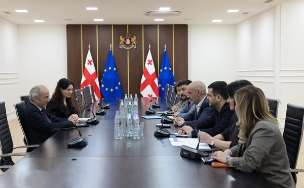 გიორგი წკრიალაშვილი TIKA-ს თბილისის ოფისის კოორდინატორს შეხვდა