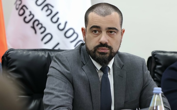 გარემოს დაცვისა და სოფლის მეურნეობის მინისტრის მოადგილემ ძაღლების მიკედლების პროცედურებზე გააკეთა განმარტება