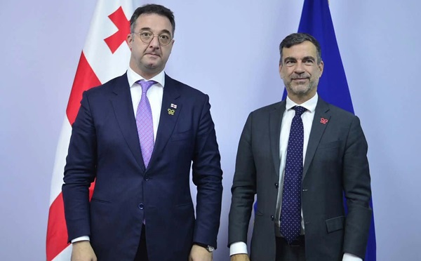 დავით სონღულაშვილი ერევანში, ევროპის საბჭოსა და ბერნის კონვენციის წარმომადგენლებს შეხვდა