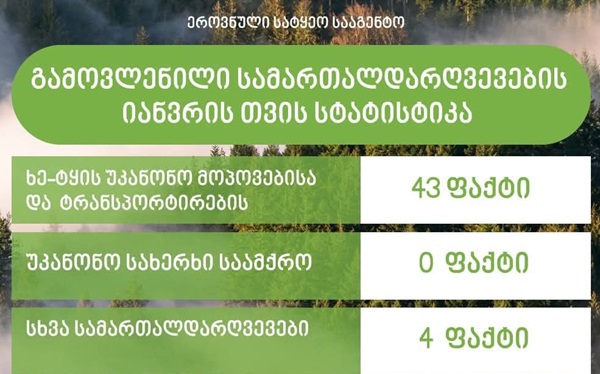 ეროვნული სატყეო სააგენტოს თანამშრომლებმა, მიმდინარე წლის იანვრის თვეში, სამართალდარღვევის 47 ფაქტი გამოავლინეს